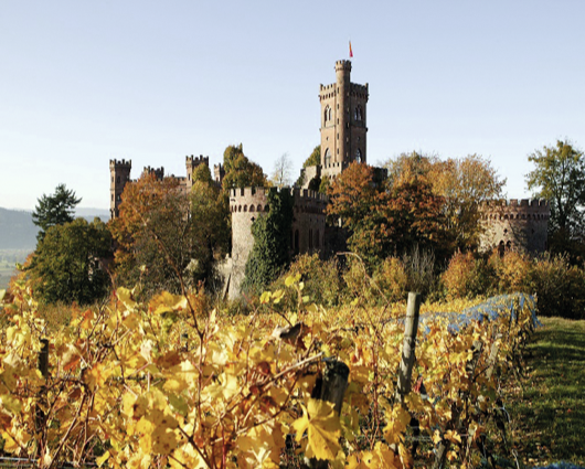 Ortenauer Weinpfad Weinparadies Ortenau